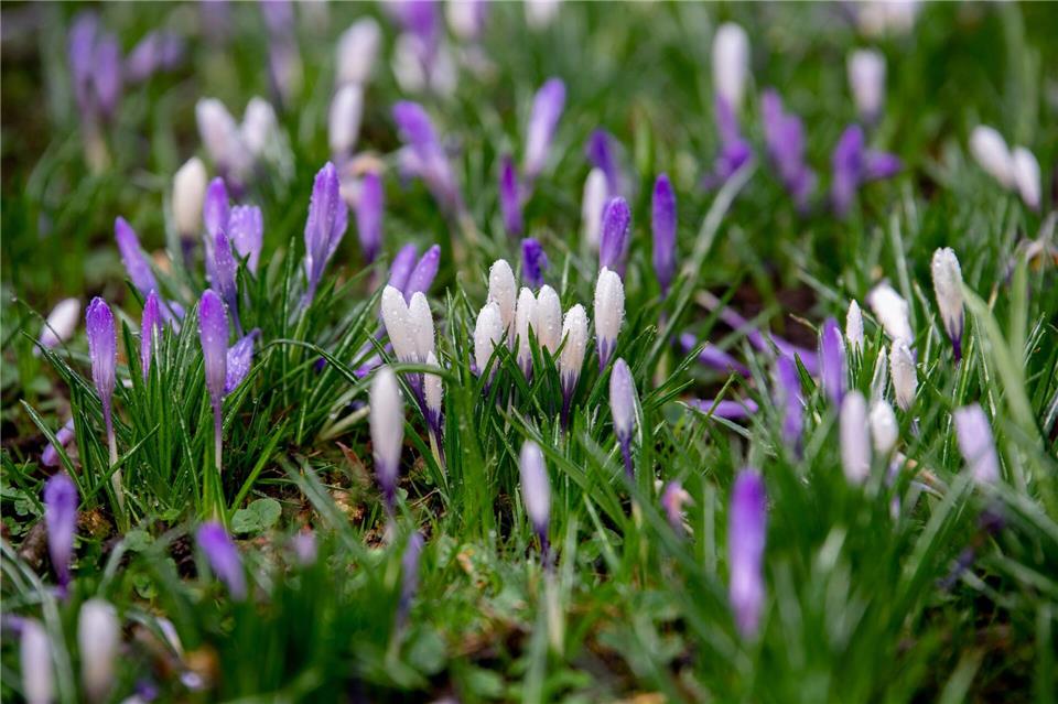 Zum Wochenstart bleibt es sonnig und mild, dann wird es deutlich kälter. (Archivbild)Hauke-Christian Dittrich/dpa