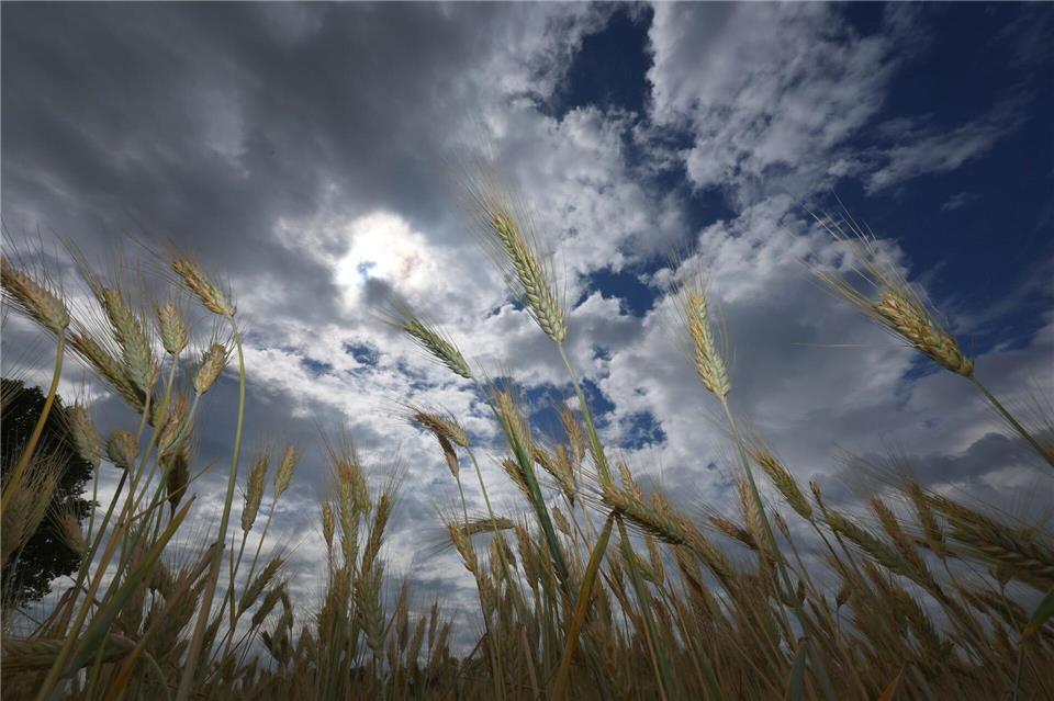 Zum Wochenstart ziehen noch graue Wolken über Bayern.Karl-Josef Hildenbrand/dpa