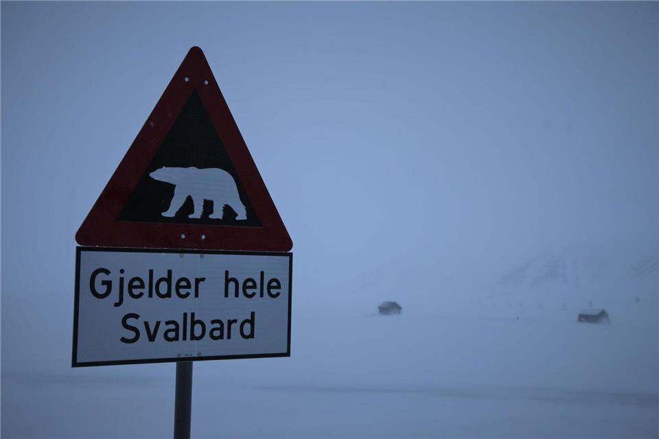 Zum ersten Mal ist in Europa bei einem Eisbären die Vogelgrippe entdeckt worden - und zwar auf der norwegischen Inselgruppe Spitzbergen. (Symbolbild)Steffen Trumpf/dpa