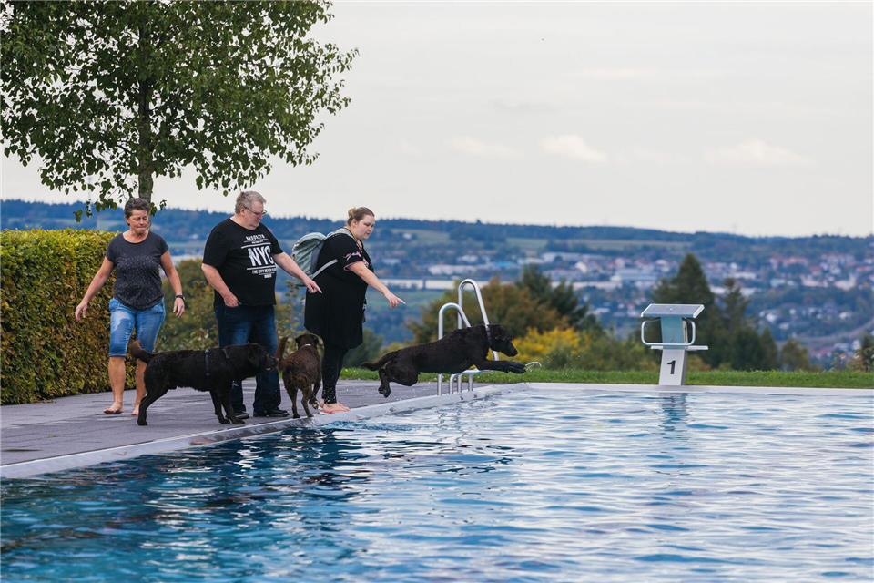 Schwimmende Hunde in zwei Berliner Freibädern Zum ersten Mal öffneten die Berliner Bäder-Betriebe zwei ihrer Freibäder zum Ende der Sommersaison für Hunde.Philipp von Ditfurth/dpa