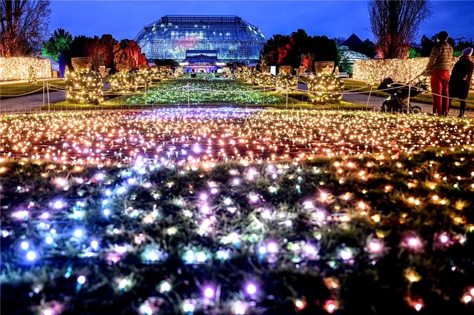Zum neunten Mal wird die Anlage im Stadtteil Dahlem für den „Christmas Garden“ weihnachtlich beleuchtet. Britta Pedersen/dpa