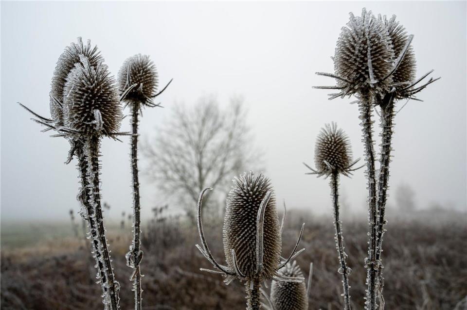„Zunehmend winterlich kalt“, lautet die Vorhersage des Deutschen Wetterdiensts (DWD) für die nächsten Tage.Stefan Puchner/dpa