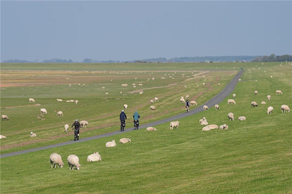 Zur Feier des 17. Geburtstags des Unesco-Weltnaturerbes Wattenmeer soll an vielen Deichen gefrühstückt werden. (Archivbild)Marcus Brandt/dpa