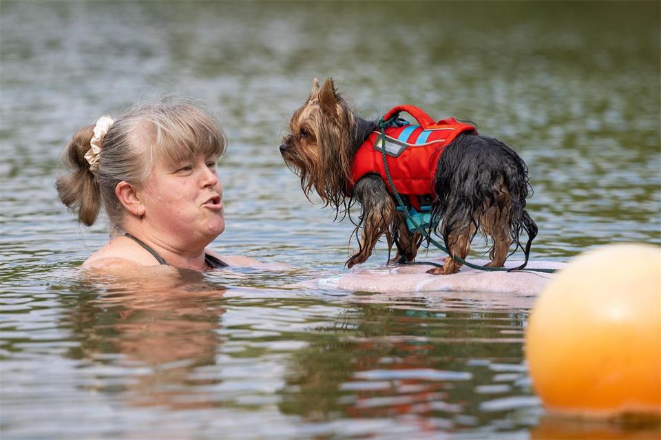 Zur Premiere der Dresdner Hundebadetage kamen am Samstag knapp 100 Vierbeiner und doppelt so viele Besitzer.  Jürgen Lösel/dpa