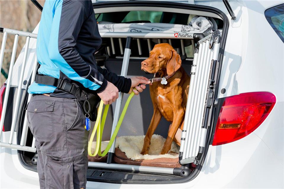 Zur Sicherheit: Vor dem Aussteigen sollte man den Hund anleinen, damit er nicht einfach auf eine befahrene Straße stürmt.Monique Wüstenhagen/dpa-tmn