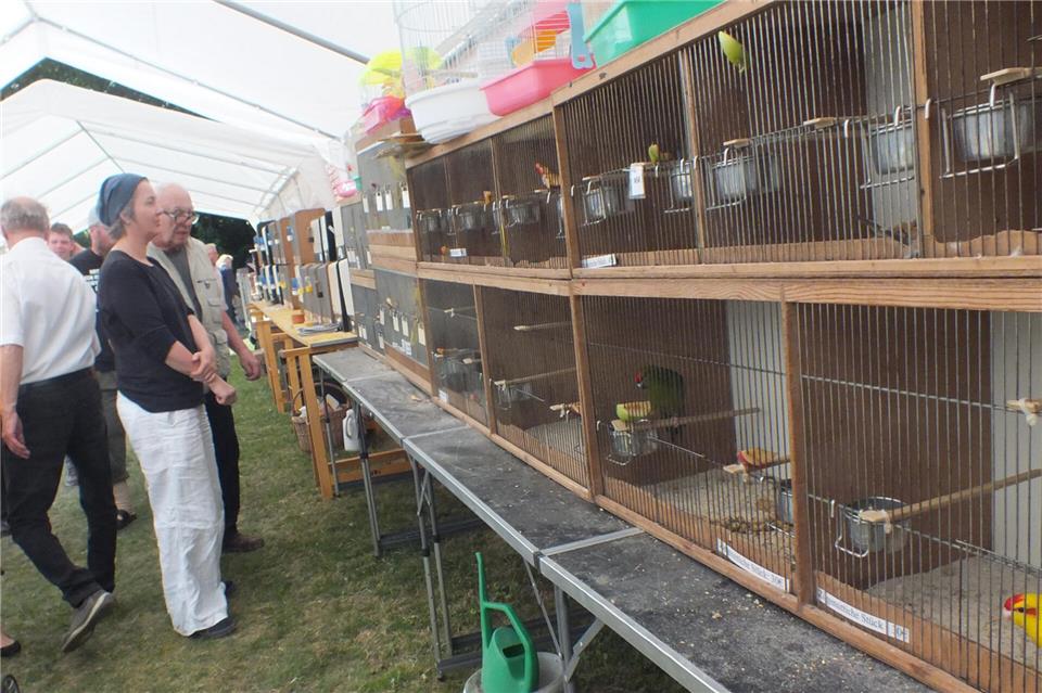Zur großen Vogelbörse werden am Sonntag rund 40 Aussteller erwartet.