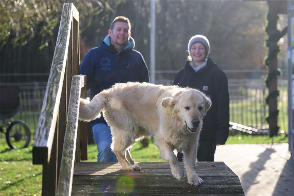 Zusätzlich bietet Cramer auch anderen sozialen Höfen oder Einrichtungen bezahlbare Hilfe an – so hat Ergotherapeutin Nina Steinberg eine Ausbildung bei ihm genossen. (Archivbild)Philipp Schulze/dpa
