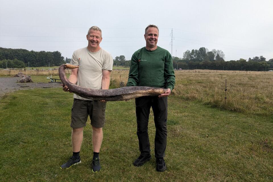 Zwei Bornholmer Naturführer zeigen den seltenen Fund.Ren� Vilsholm/NaturBornholm/dpa