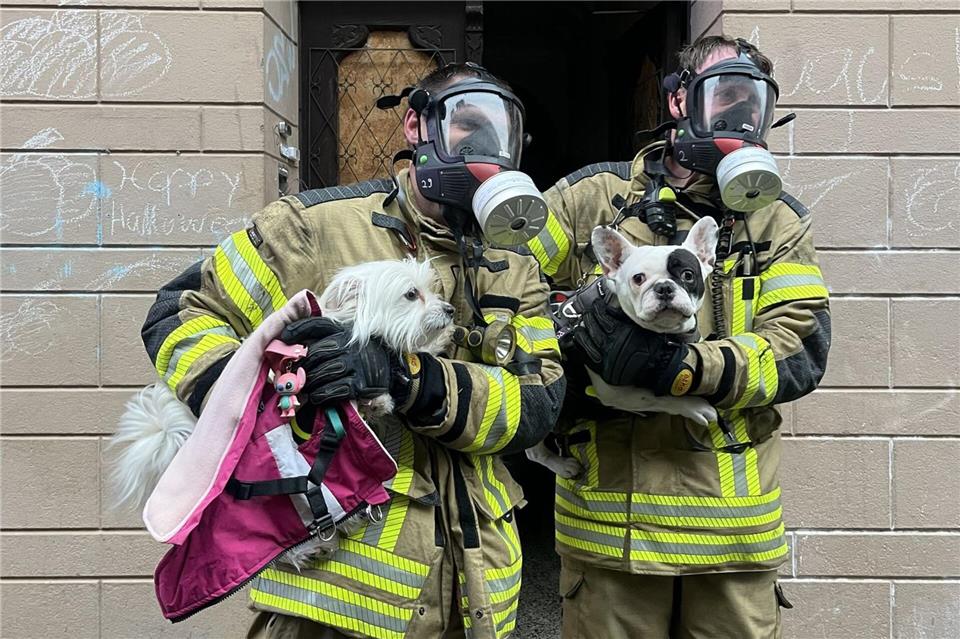 Zwei Hunde rettete die Feuerwehr und übergab sie ihren Besitzern. -/Feuerwehr Bremerhaven/dpa