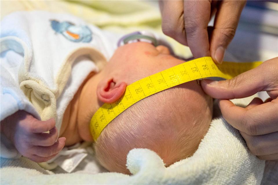 Zwei Jungs in Rostock und Greifswald waren besonders schnell. (Symbolbild)Sina Schuldt/dpa