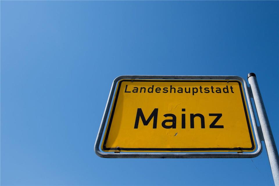 Zwei Kinder wurden im Volkspark in Mainz verletzt. (Symbolbild) Silas Stein/dpa