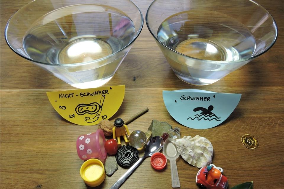 Zwei Schüsseln, zwei Schilder und ein paar Gegenstände: Mehr braucht ihr nicht für das heutige Experiment von „Familie forscht“. Hüning