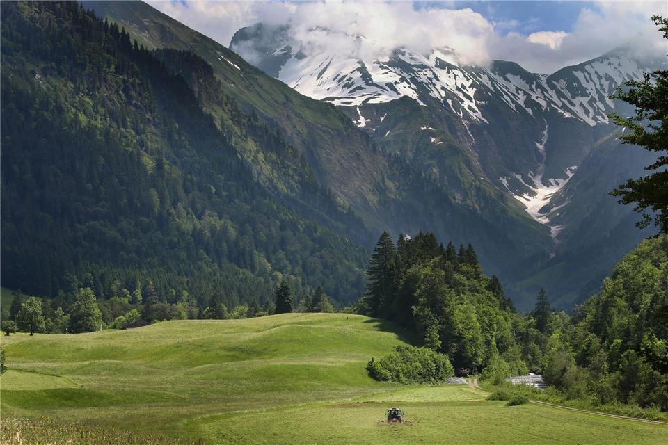 Zwei deutsche Kletterer sind in Österreich abgestürzt. (Symbolbild)Karl-Josef Hildenbrand/dpa