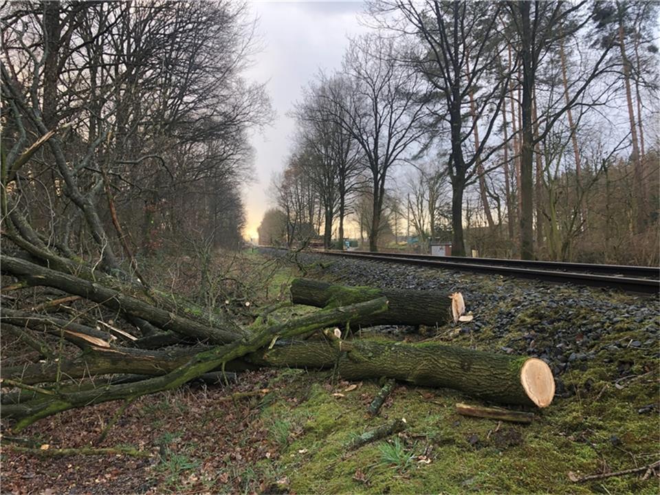 Zwischen Borken und Marbeck musste die Bahnstrecke von Bäumen geräumt werden.