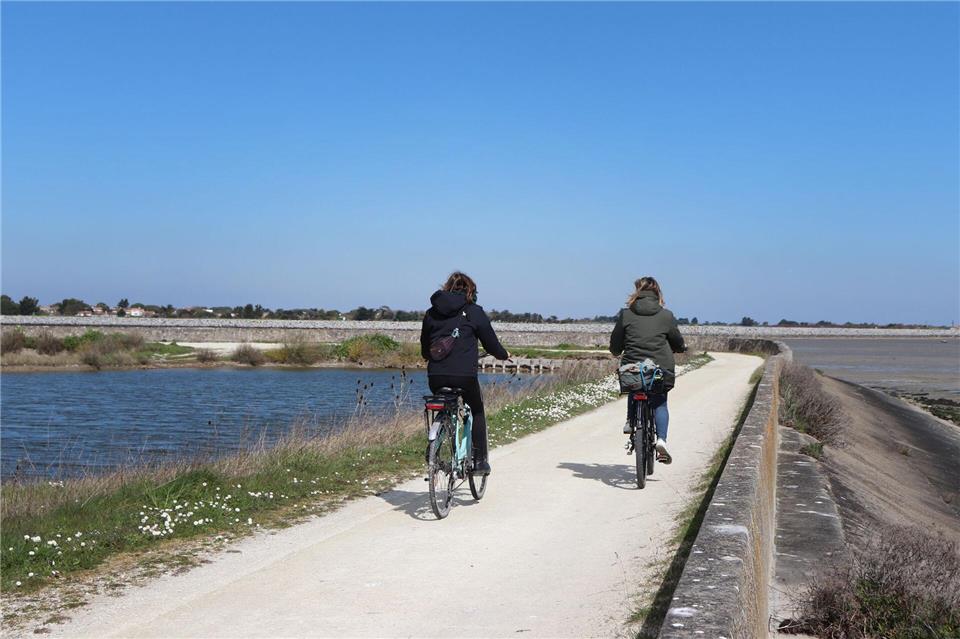Zwischen Salzgärten, Strand und Weingut: Auf 140 Kilometern Radwegen lässt sich die Insel erkunden. Deike Uhtenwoldt/dpa-tmn