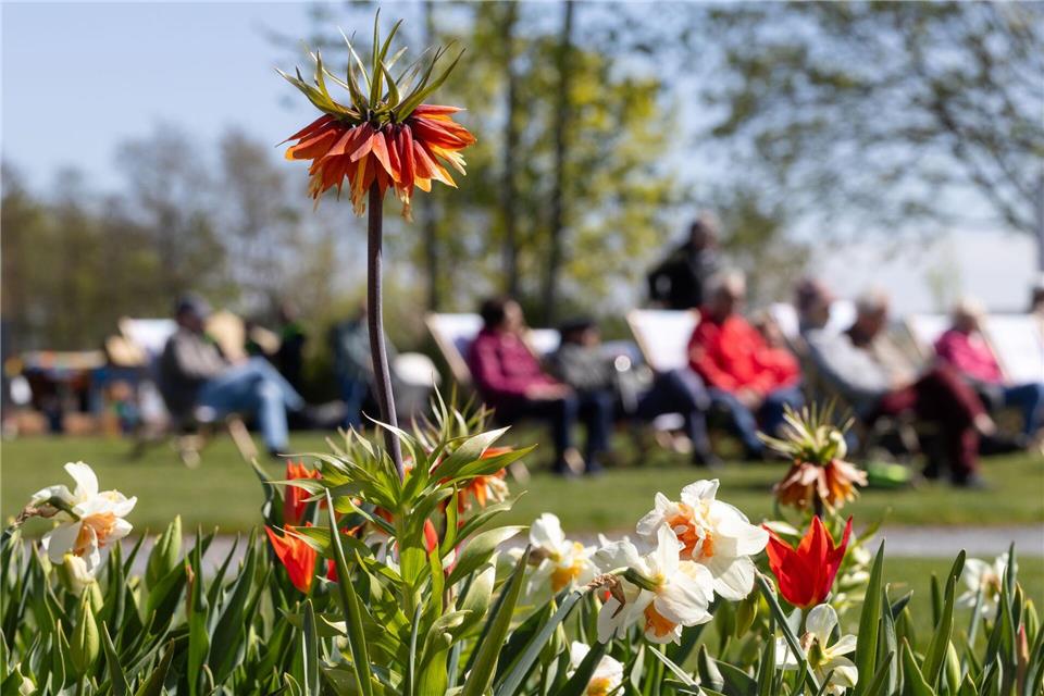 Zwischen Sonne und Schauern zeigt sich der Frühling wechselhaft. (Archivbild)Michael Reichel/dpa