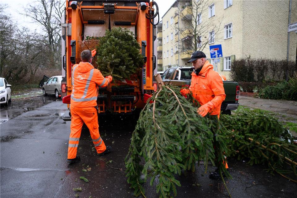 Zwischen dem 10. und dem 24. Januar holt die BSR im kommenden Jahr wieder ausgediente Weihnachtsbäume ab. (Archivbild)Bernd von Jutrczenka/dpa