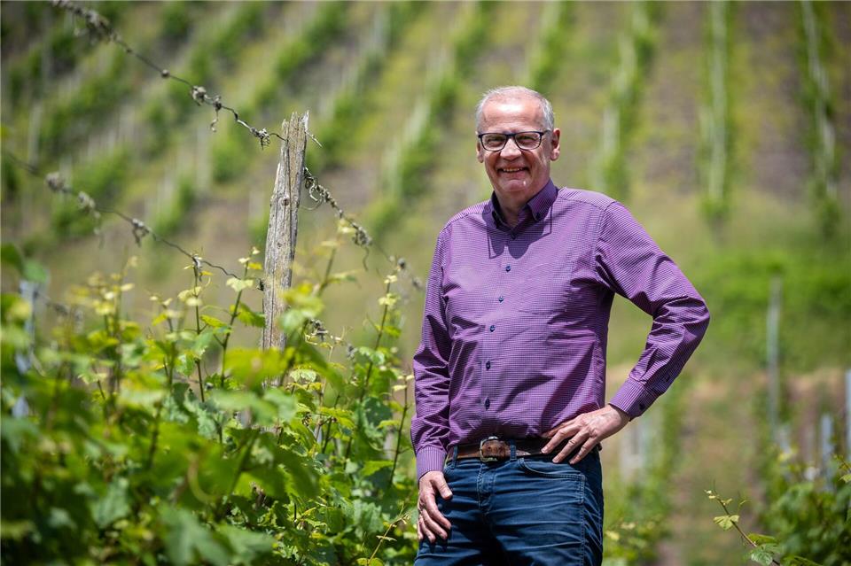 Zwischen den Riesling-Reben: Abseits des Fernsehstudios ist Günther Jauch gerne auf seinem Weingut an der Saar. (Archivbild)Harald Tittel/dpa