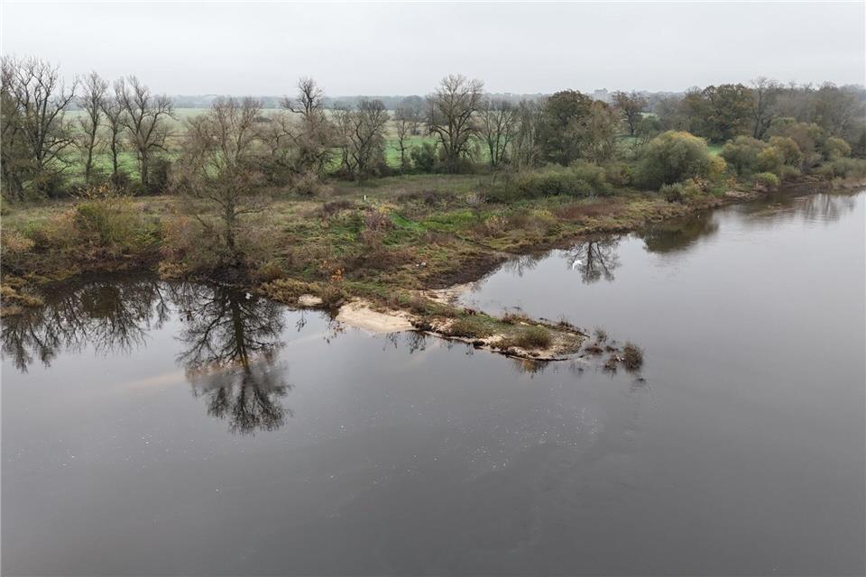 Zwölf Kameras erfassen an der Elbe jeder Tierbewegung. (Archivbild)Sebastian Willnow/dpa
