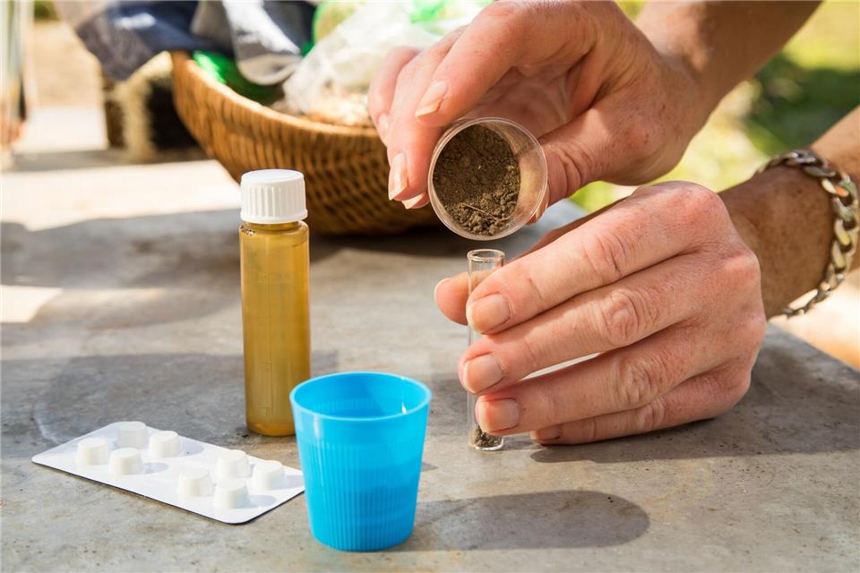 pH-Wert im Blick: Ein Bodentest zeigt, ob der Untergrund ideal für Hortensien ist.picture alliance / dpa-tmn