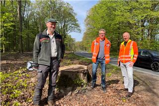 Darum wurden 400 Bäume in Heiden gefällt