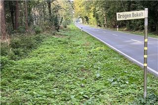 Radweg an Rekener Straße wird erst im Frühjahr gebaut